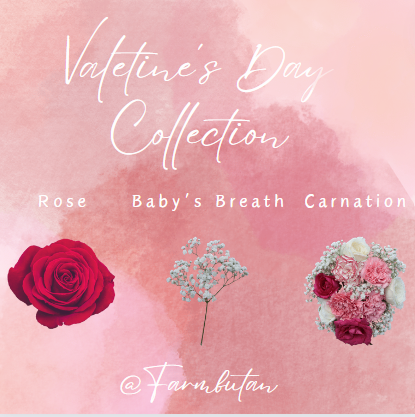 Get your flowers Valentine’s Day now! Valentine’s Day is just right around the corner. Roses? Baby’s Breath? Carnation? You want? We got! Give your partner something special this Valentine’s Day to show how much you care. While stocks last!